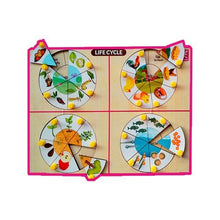 Load image into Gallery viewer, Life Cycle Inside Peg Board Puzzle -12*9 inch - EKW0149

