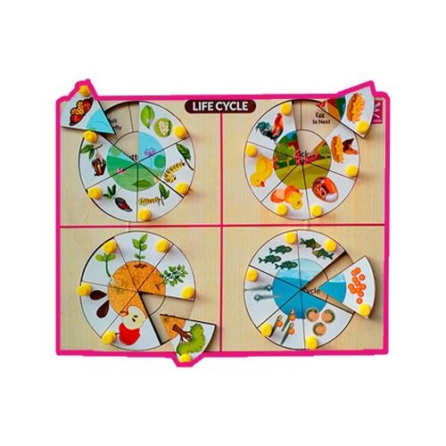Life Cycle Inside Peg Board Puzzle -12*9 inch - EKW0149