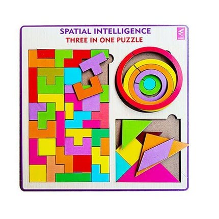 Spatial Intelligence-Three in one Puzzle - EKW0151