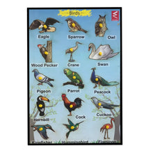 Load image into Gallery viewer, Wooden Birds Learning Educational Knob tray-12*18 inch - EKW0170
