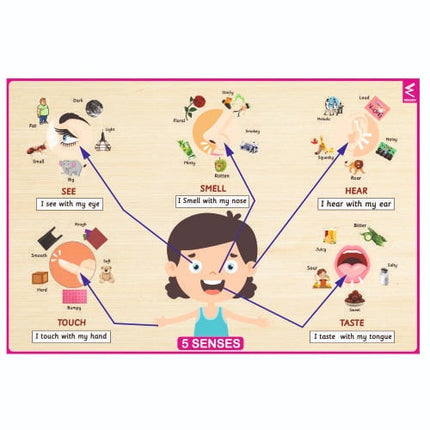 Five Senses Learning Puzzle - 12*18 inch - EKW0172