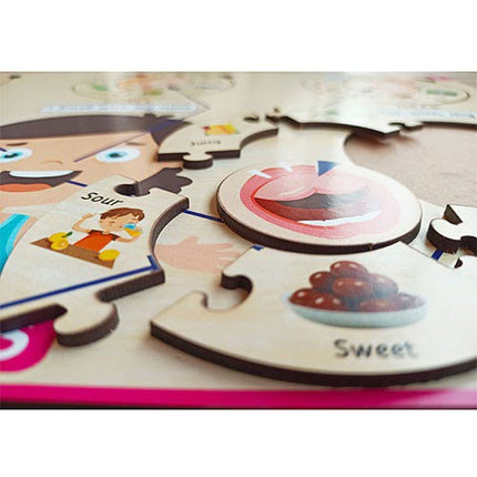 Five Senses Learning Puzzle - 12*18 inch - EKW0172