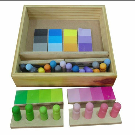 Wooden Cognitive Color Sorting Kit - EKW0180