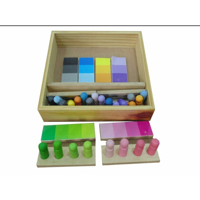 Wooden Cognitive Color Sorting Kit - EKW0180