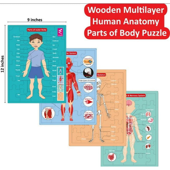 Extrokids wooden human anatomy body parts Layer puzzle