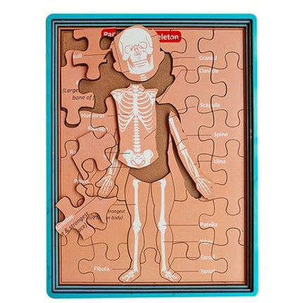 Extrokids wooden human anatomy body parts Layer puzzle