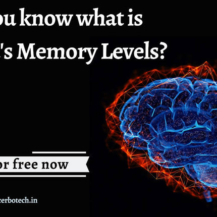 Brainhat Memory
