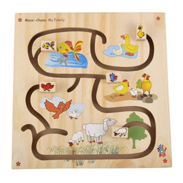 Maze Chase My Family