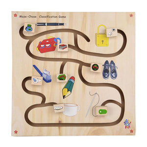 Maze Chase Classification Game