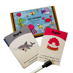 Sea animals flashcards- Pack of 16