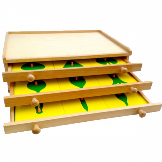 BOTANY LEAF CABINET