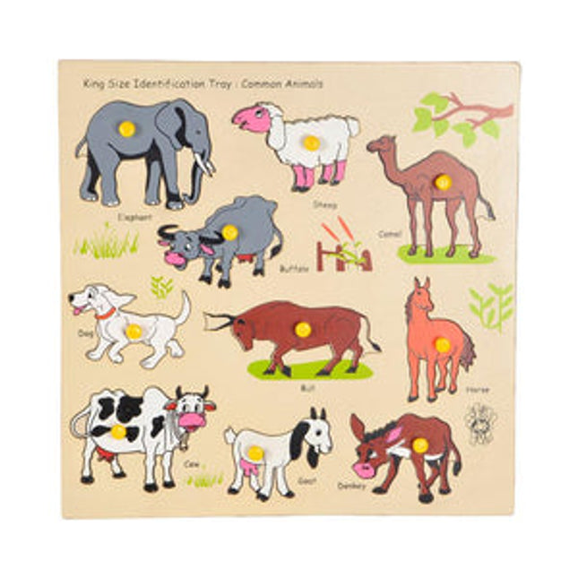 King Size Identification Tray Common Animals