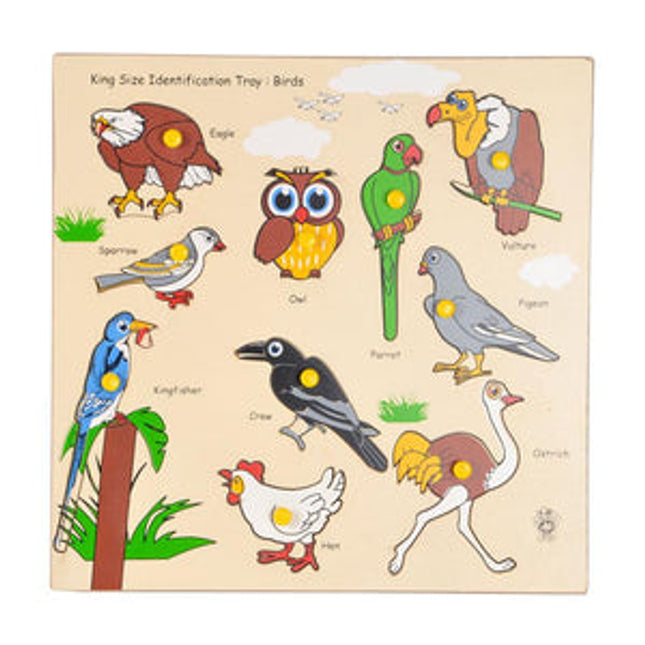 King Size Identification Tray Birds