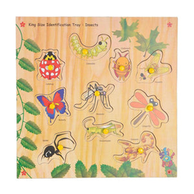 King Size Identification Tray Insects