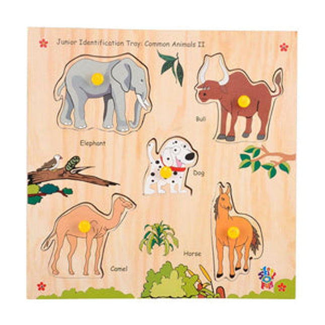 Junior Identification Tray Common Animals II