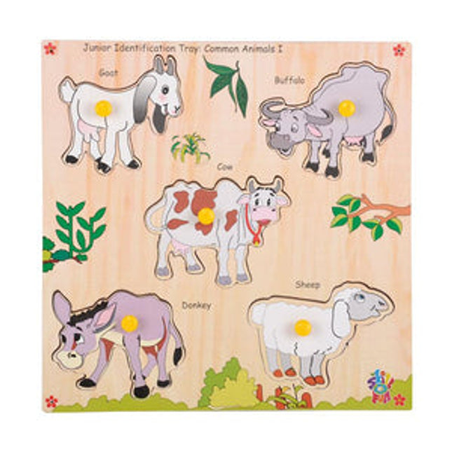 Junior Identification Tray Common Animals I