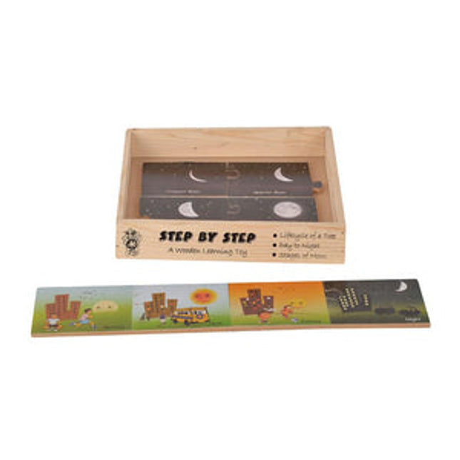 Step By Step Lifecycle of a Tree