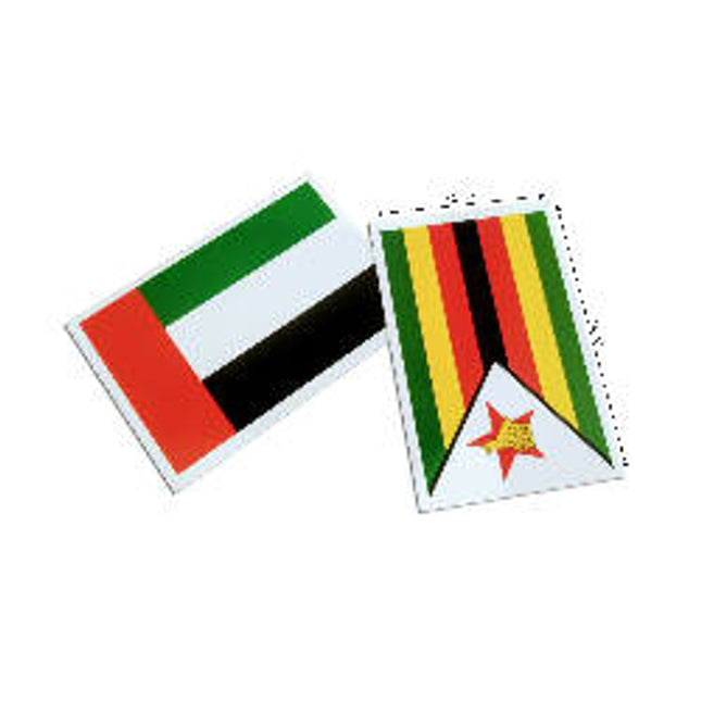 Flags part 2 Flashcards- Pack of 24
