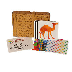 Thasvi Visual Stimulation Cards - Combo