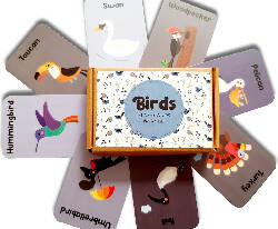 Birds Flash Cards for Kids- Pack of 24