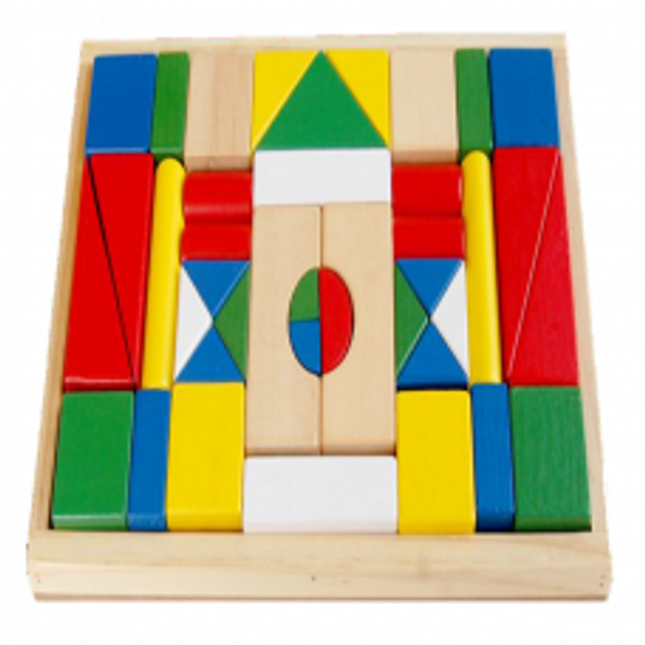 BUILDING BRICKS (SET OF 40 PCS.)