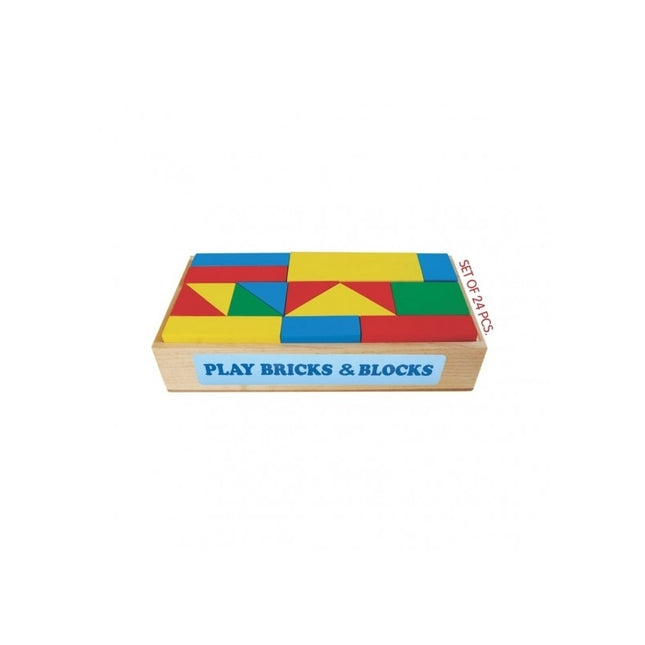 PLAY BRICKS & BLOCKS (SET OF 24 PCS.)