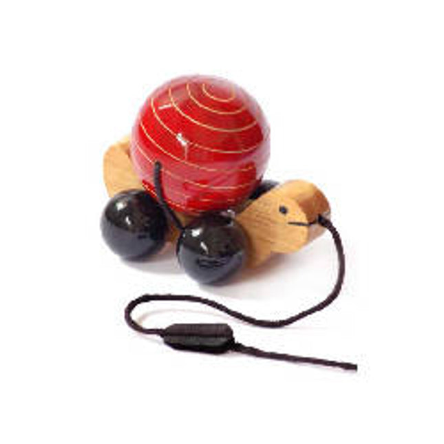 Tuttu Turtle - Red