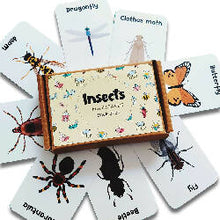 Load image into Gallery viewer, Insects &amp; other small animals Flashcards
