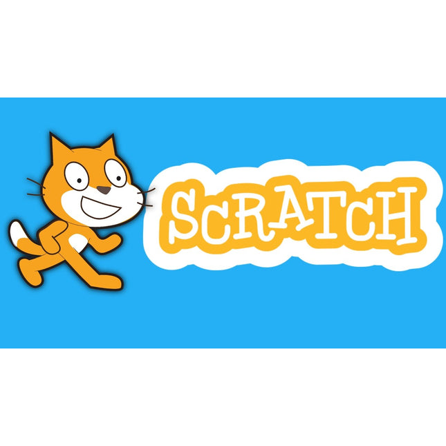 BASIC SCRATCH CODING (Individual)