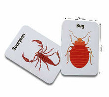 Load image into Gallery viewer, Insects &amp; other small animals Flashcards
